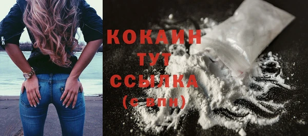крисы Липки