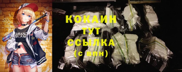 крисы Липки