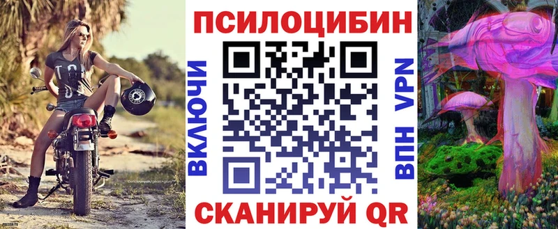 Псилоцибиновые грибы Magic Shrooms  ОМГ ОМГ маркетплейс  Черемхово  где продают наркотики 