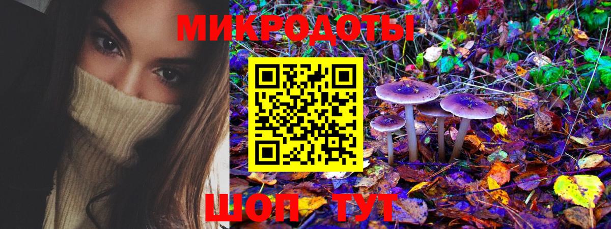 Галлюциногенные грибы мицелий Черемхово