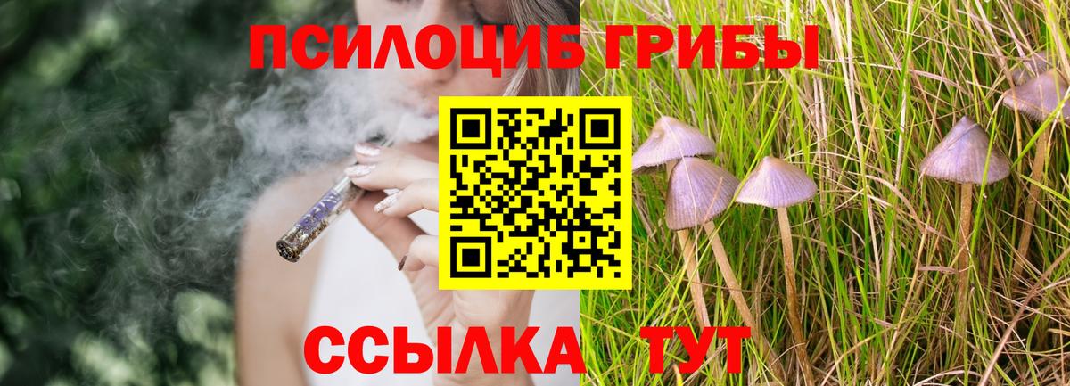 Черемхово  Псилоцибиновые грибы Psilocybine cubensis  Вход с VPN  Псилоцибиновые грибы мухоморы 